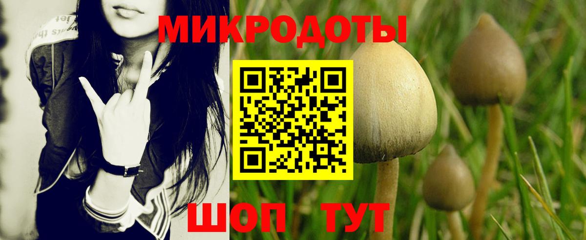 Псилоцибиновые грибы прущие грибы Янаул